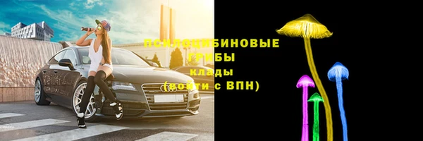 мдпв Саяногорск