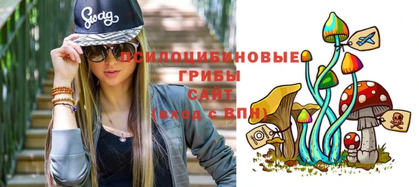 соль ск Сатка