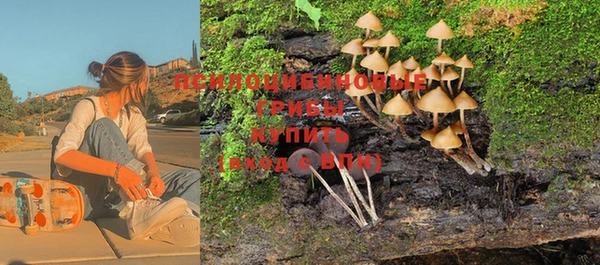 первитин Арсеньев